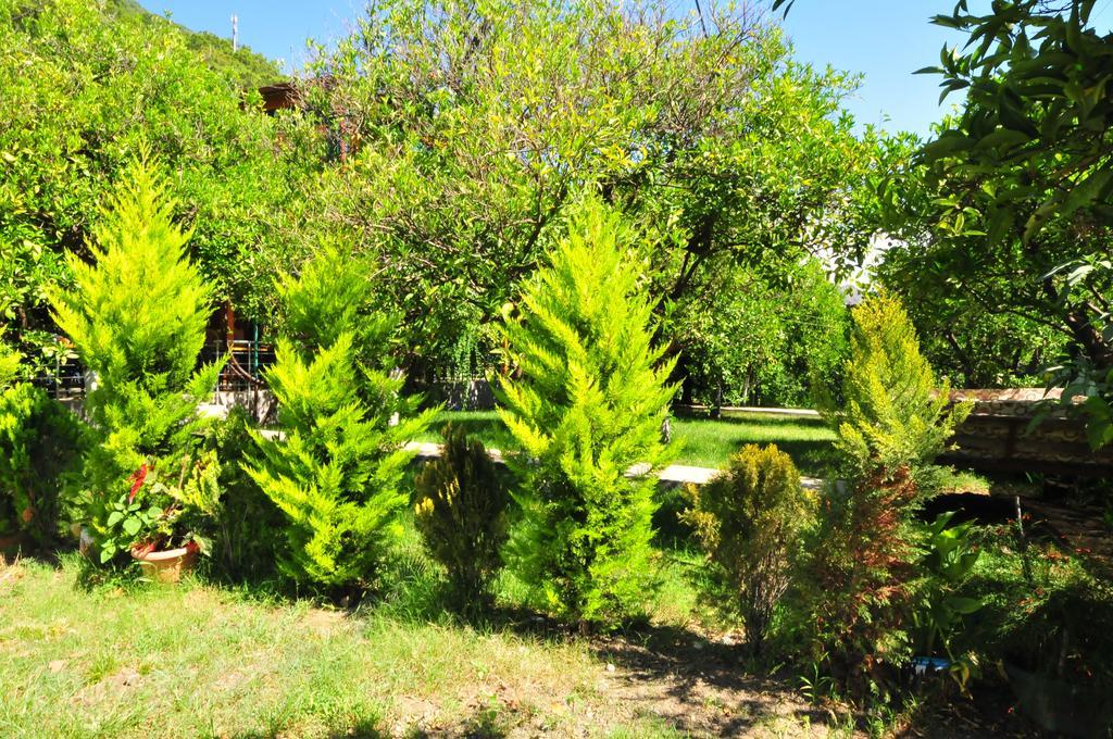 Ikiz Pension Bungalow Çıralı Camera foto
