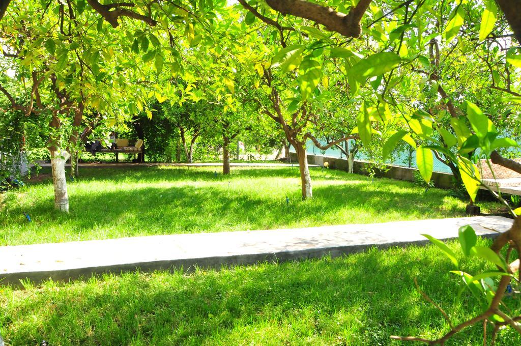 Ikiz Pension Bungalow Çıralı Camera foto